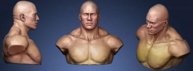 3D model The Rock Johnson (STL)